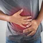 Aquamin: What the Research Actually Shows 2 Digestive system icon
