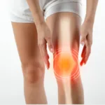 Aquamin: What the Research Actually Shows 3 Knee joint icon