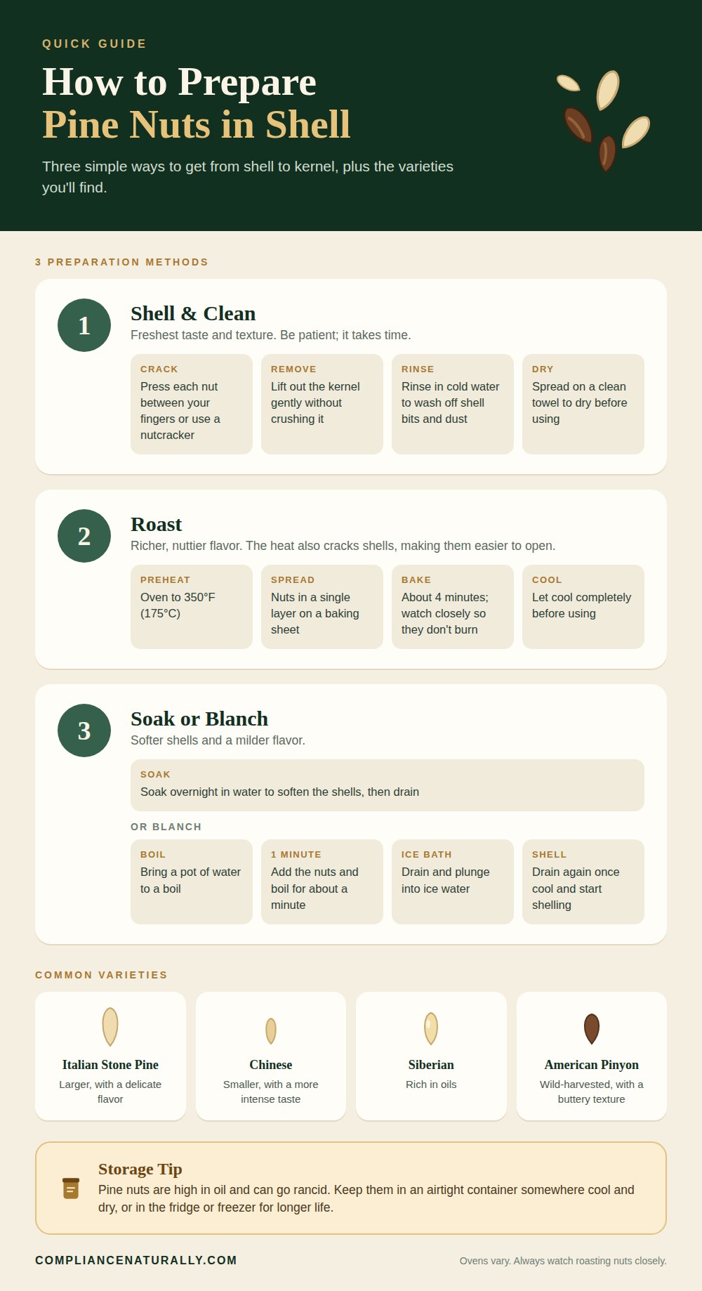 Pine Nuts in Shell: Unlocking the Flavors 3 Infographic: how to prepare pine nuts in shell by shelling, roasting, soaking or blanching, plus common pine nut varieties and a storage tip