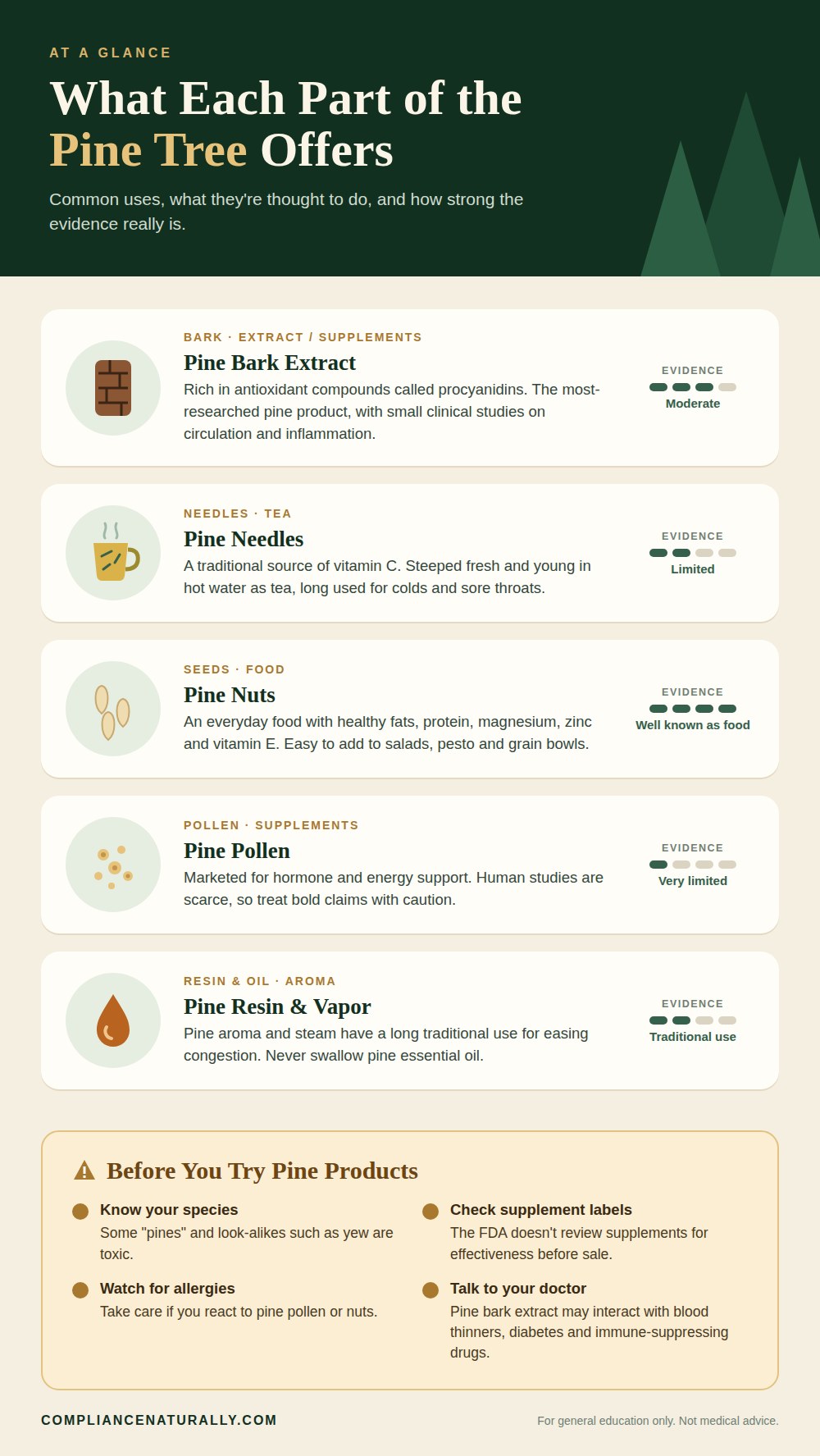 Discover the Incredible Health Benefits of Pine Trees 5 Infographic: health benefits of pine trees by part — bark extract, needles, nuts, pollen and resin — with evidence levels and safety tips