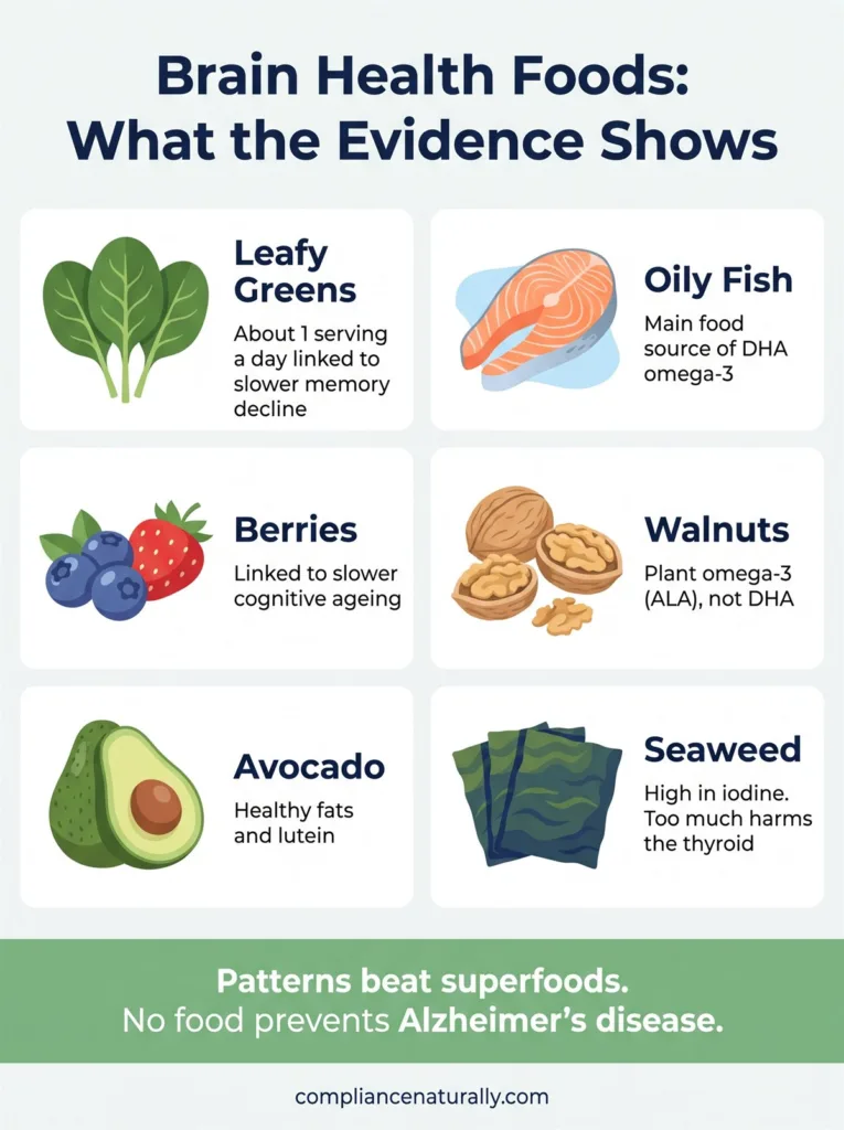 Brain Health Foods: What the Research Actually Supports 2 Infographic: brain health foods and what the evidence shows for leafy greens, oily fish, berries, walnuts, avocado and seaweed