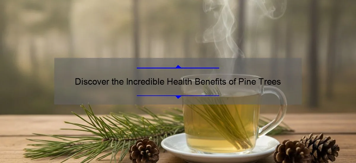 Health benefits of pine trees: a glass mug of pine needle tea with pine sprigs and pine cones